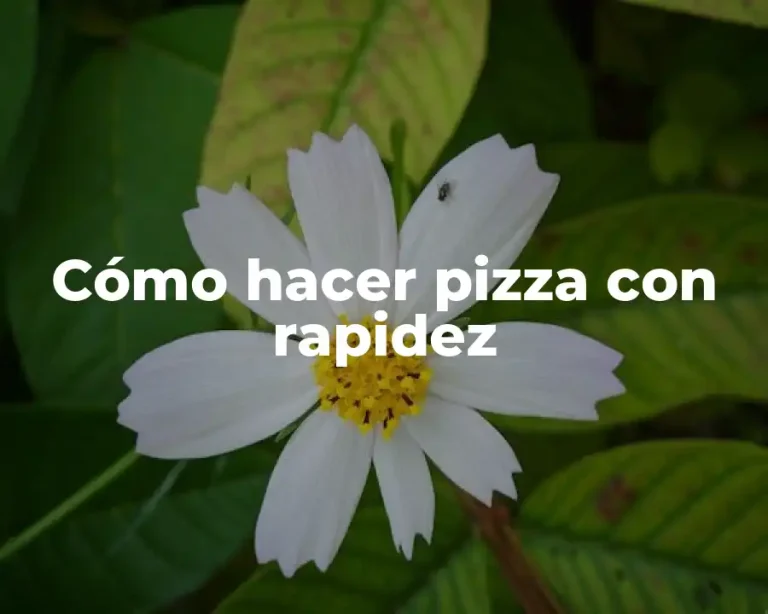 Cómo hacer pizza con rapidez