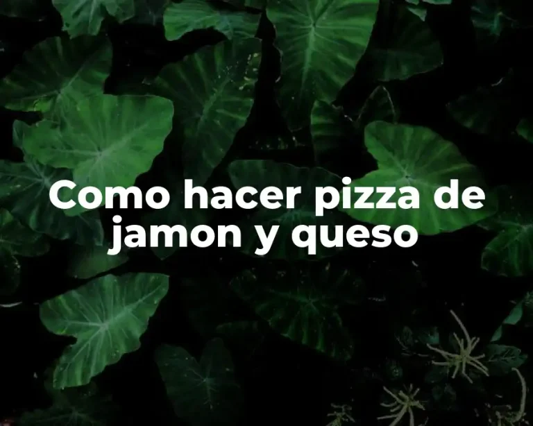 Como hacer pizza de jamon y queso