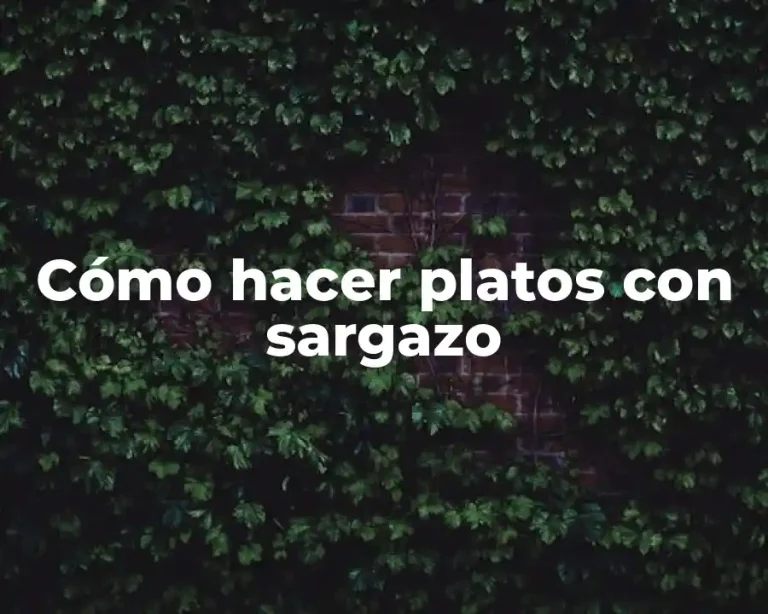 Cómo hacer platos con sargazo