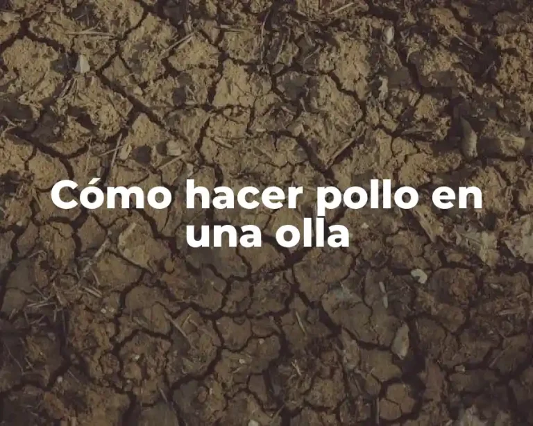 Cómo hacer pollo en una olla