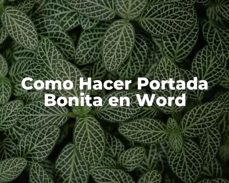 Como Hacer Portada Bonita en Word