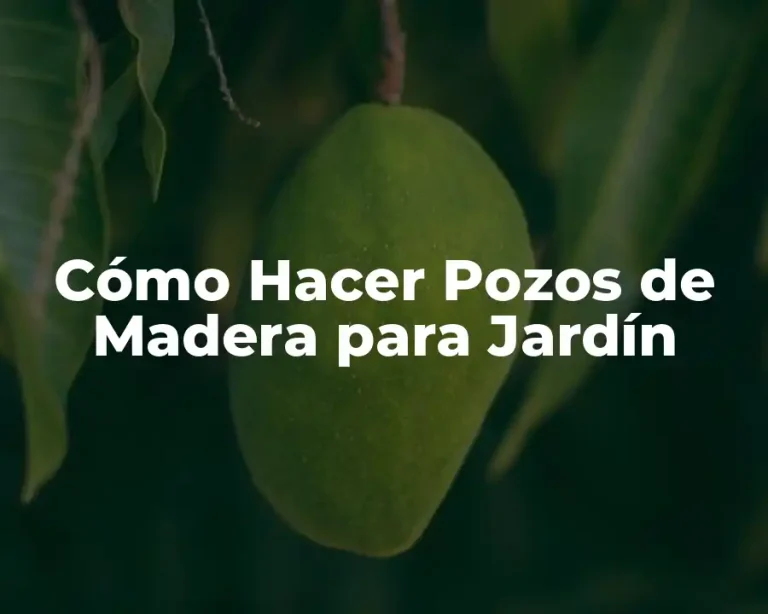 Cómo Hacer Pozos de Madera para Jardín