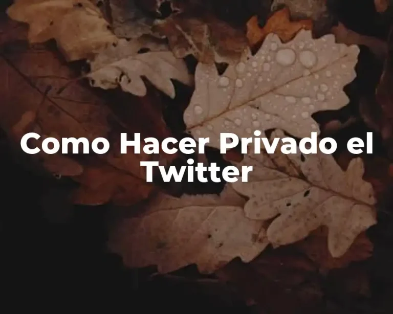 Como Hacer Privado el Twitter