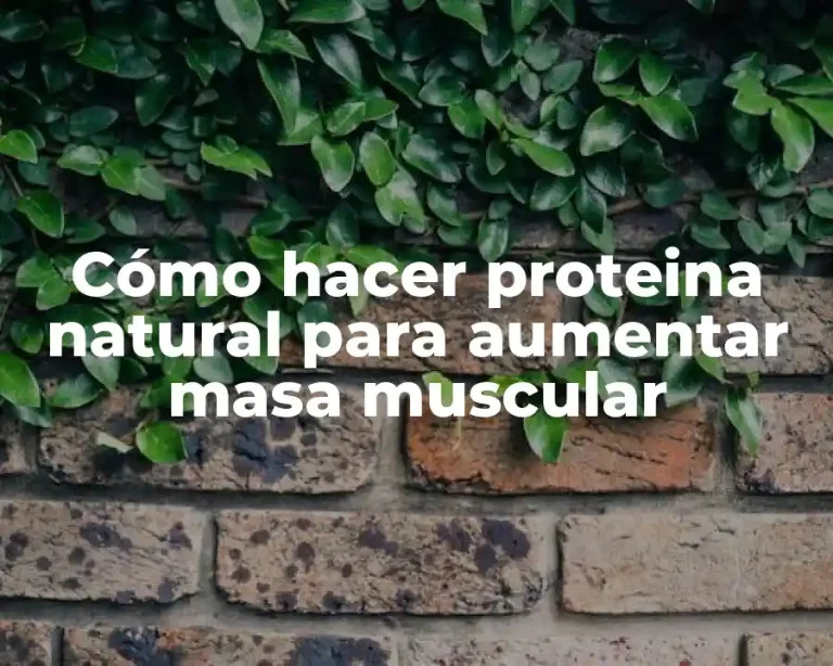 Cómo hacer proteina natural para aumentar masa muscular