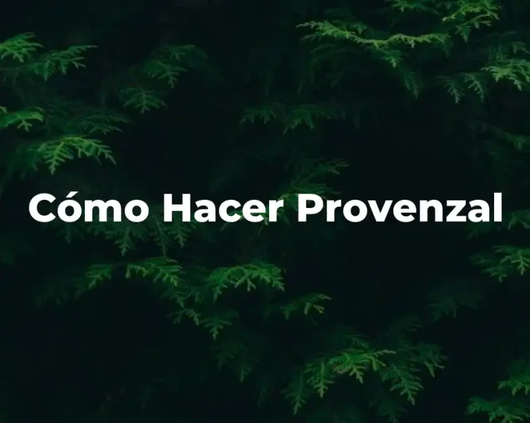 Cómo Hacer Provenzal