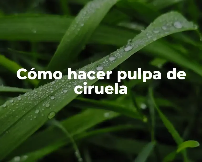 Cómo hacer pulpa de ciruela