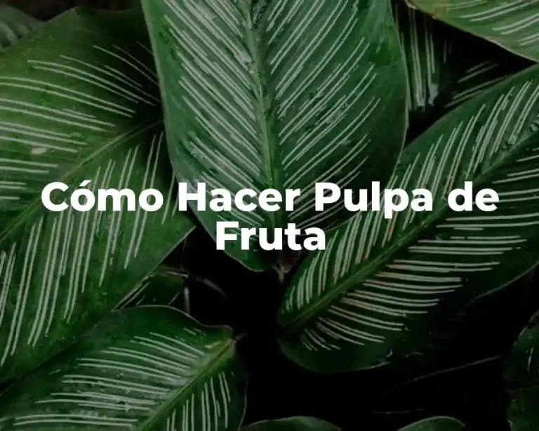 Cómo Hacer Pulpa de Fruta