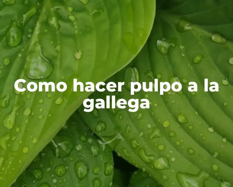 Como hacer pulpo a la gallega