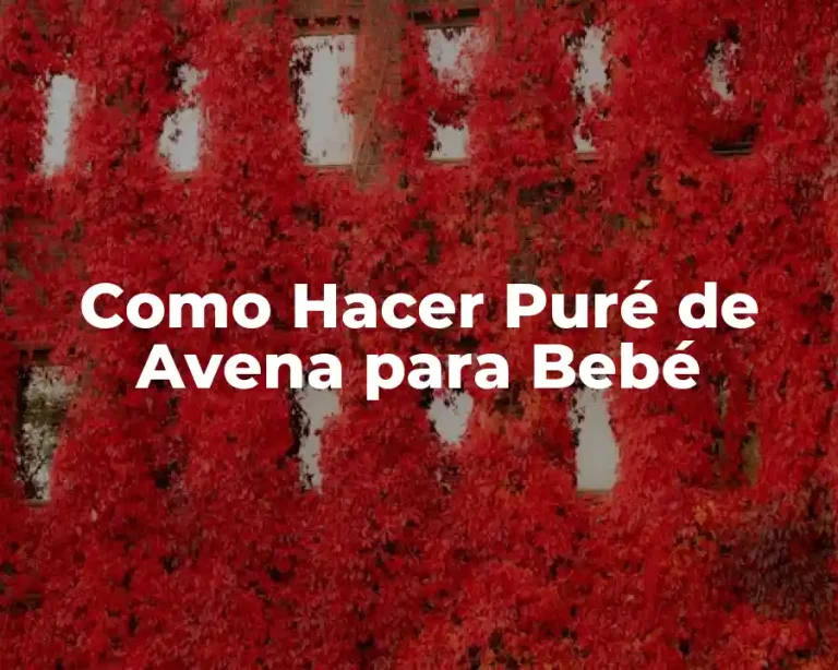 Como Hacer Puré de Avena para Bebé