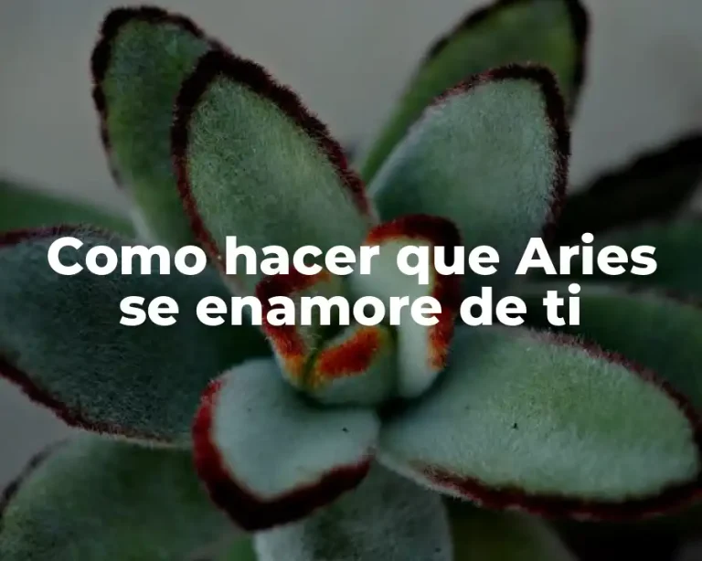 Como hacer que Aries se enamore de ti