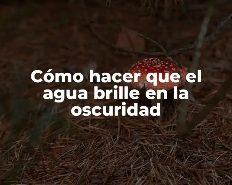 Cómo hacer que el agua brille en la oscuridad