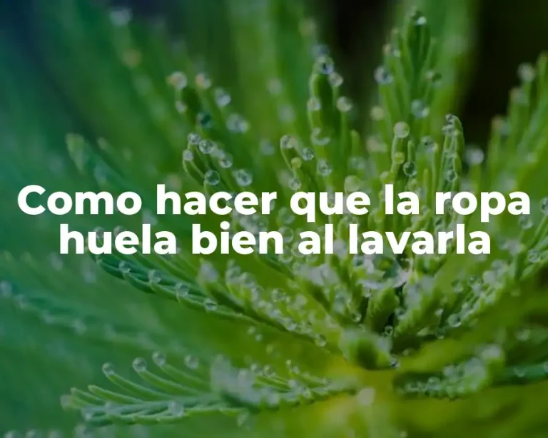 Como hacer que la ropa huela bien al lavarla