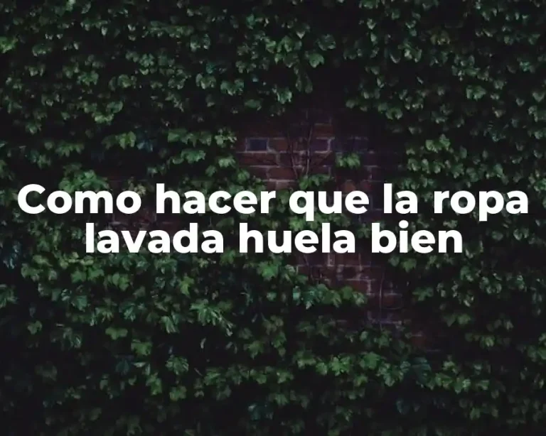 Como hacer que la ropa lavada huela bien