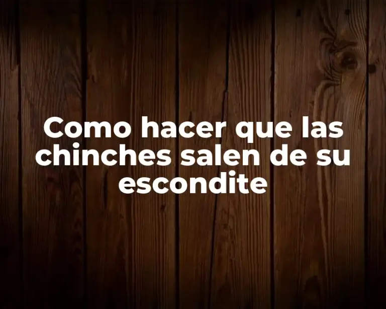 Como hacer que las chinches salen de su escondite