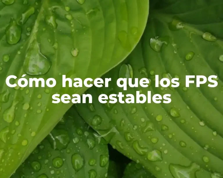 Cómo hacer que los FPS sean estables