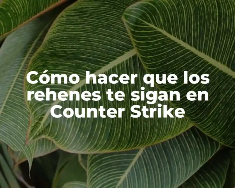 Cómo hacer que los rehenes te sigan en Counter Strike