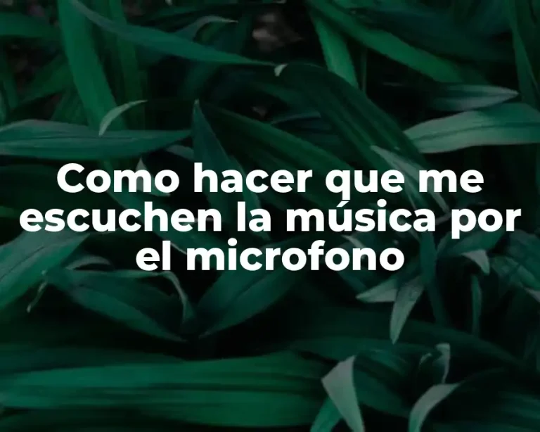 Como hacer que me escuchen la música por el microfono