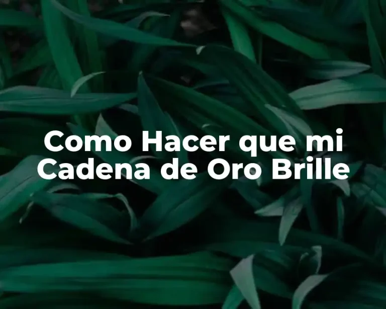 Como Hacer que mi Cadena de Oro Brille