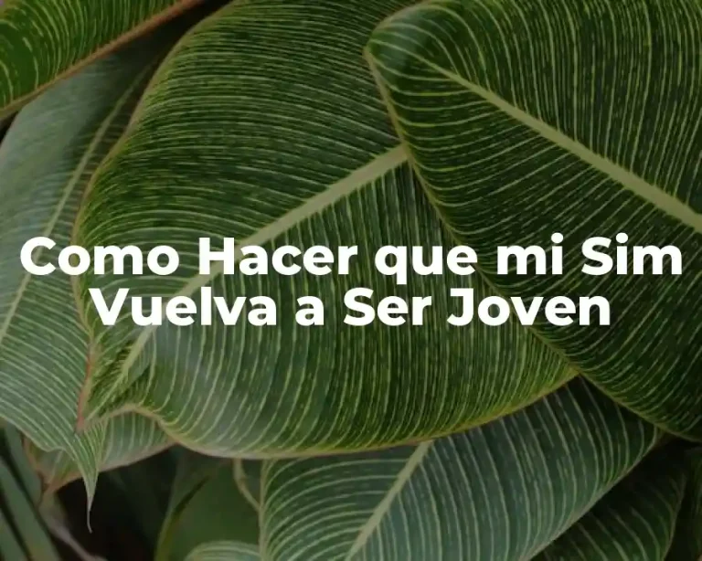 Como Hacer que mi Sim Vuelva a Ser Joven