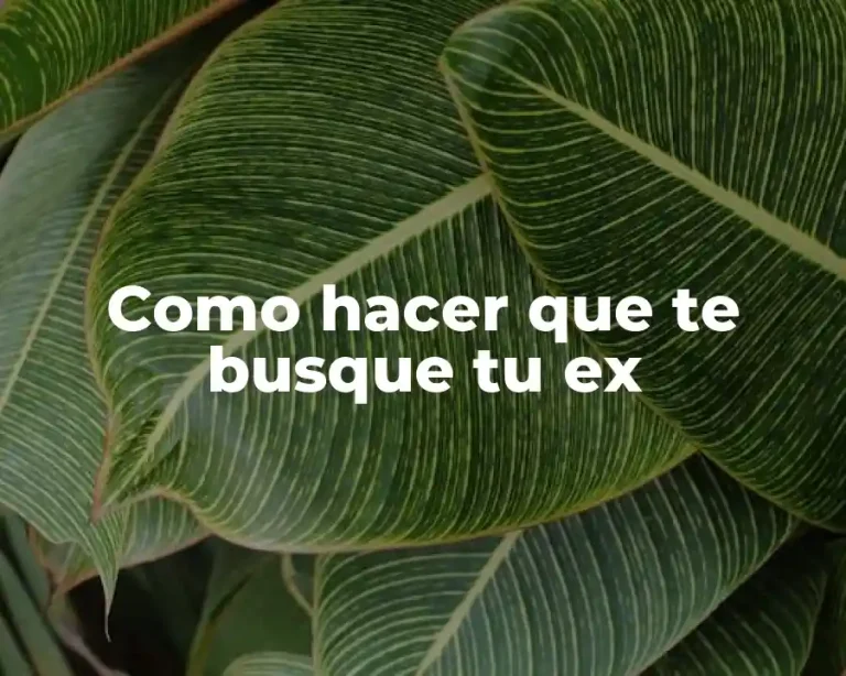 Como hacer que te busque tu ex