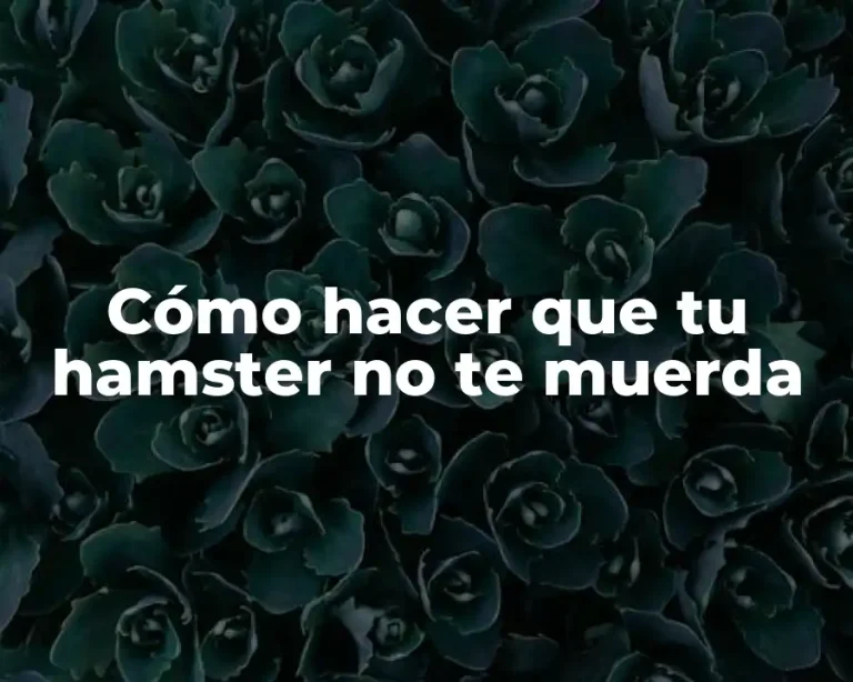 Cómo hacer que tu hamster no te muerda