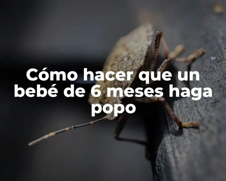 Cómo hacer que un bebé de 6 meses haga popo
