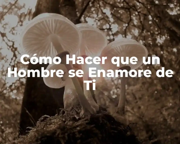 Cómo Hacer que un Hombre se Enamore de Ti