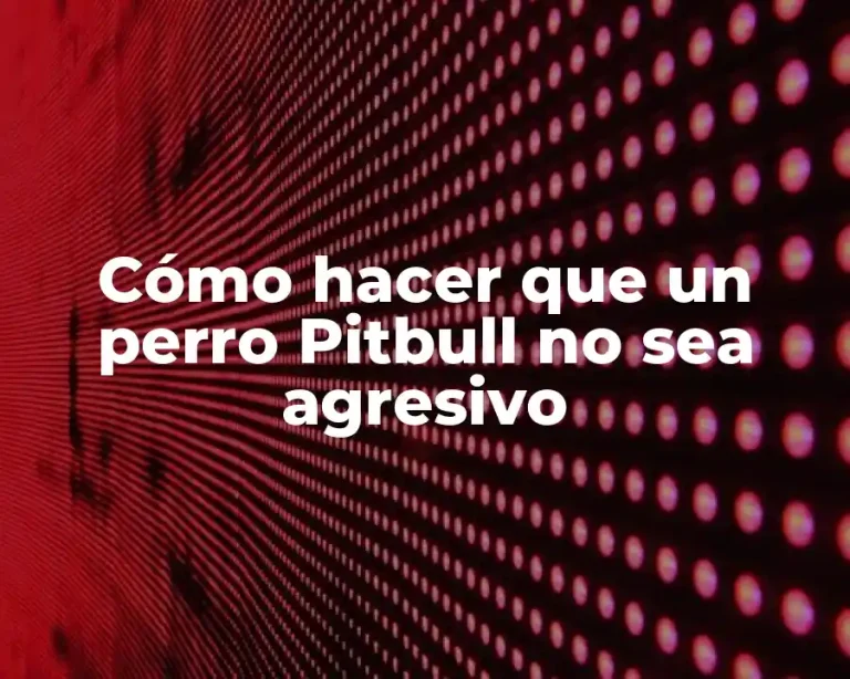 Cómo hacer que un perro Pitbull no sea agresivo