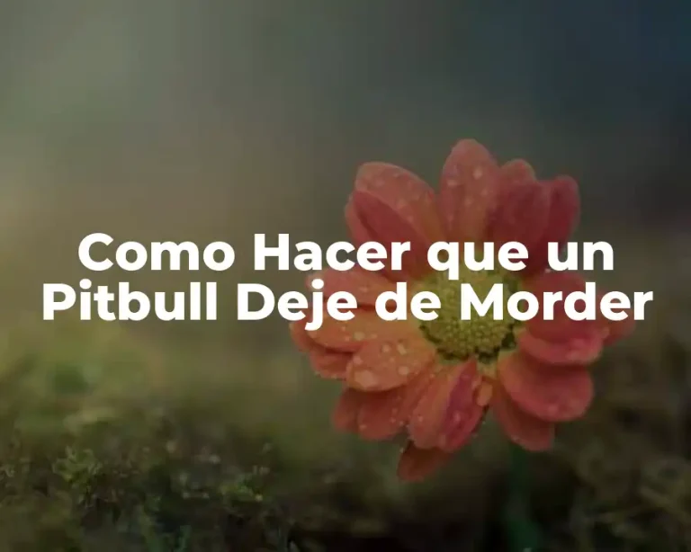 Como Hacer que un Pitbull Deje de Morder