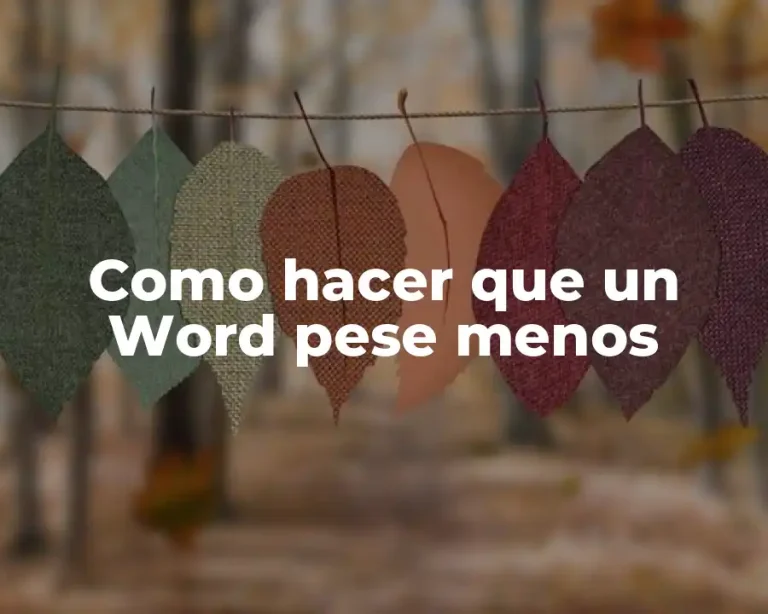 Como hacer que un Word pese menos