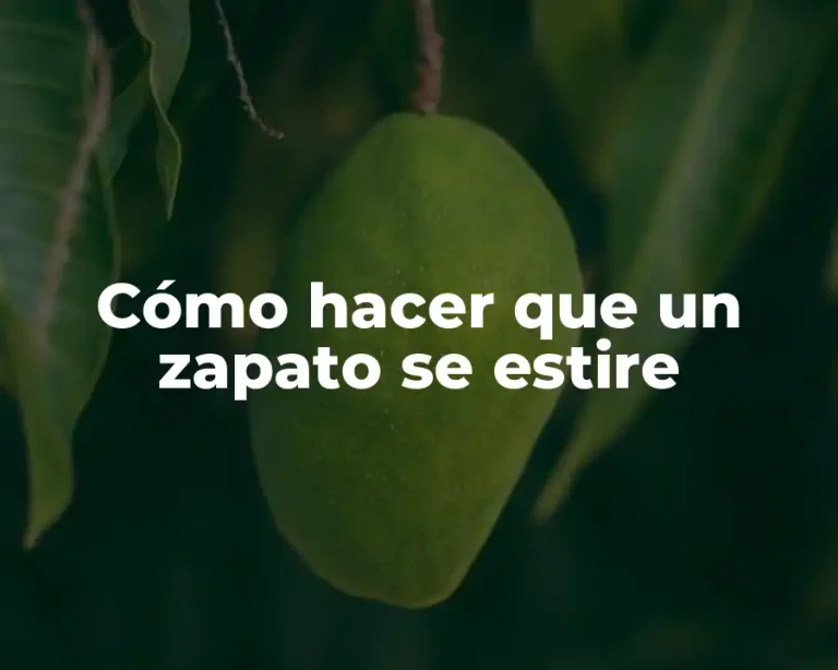 Cómo hacer que un zapato se estire