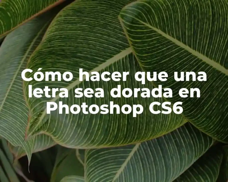 Cómo hacer que una letra sea dorada en Photoshop CS6