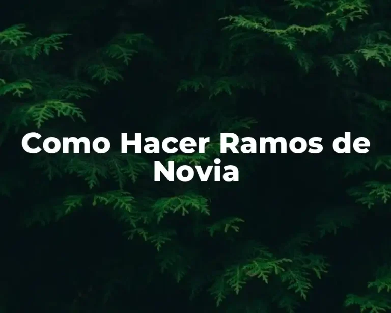 Como Hacer Ramos de Novia
