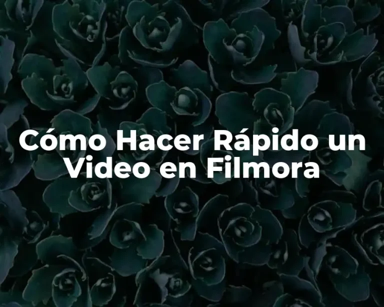 Cómo Hacer Rápido un Video en Filmora