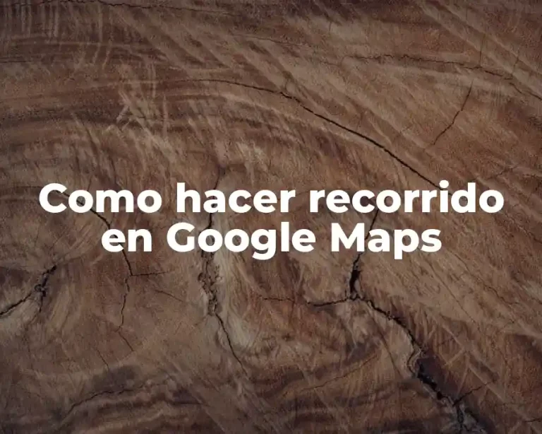 Como hacer recorrido en Google Maps