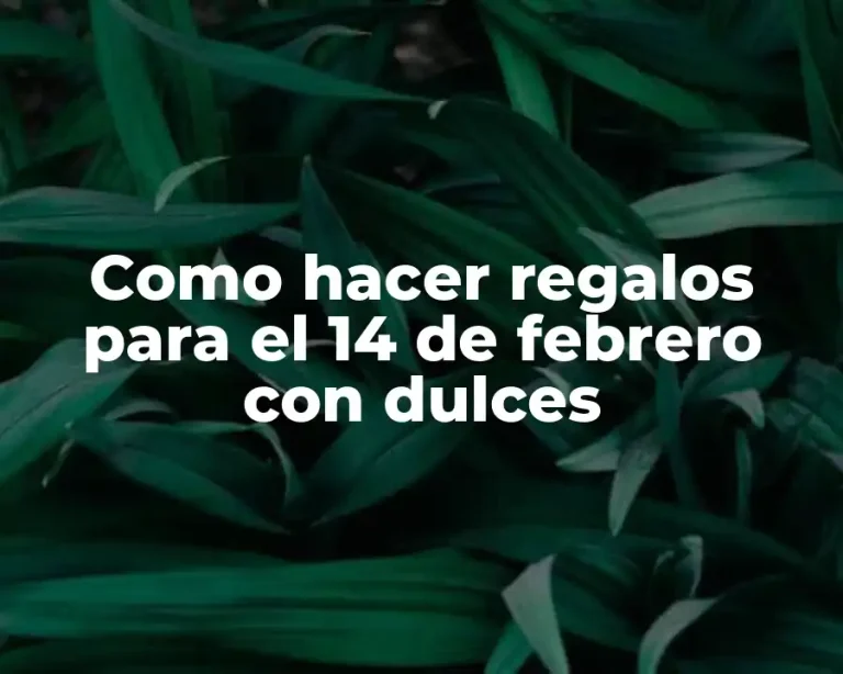 Como hacer regalos para el 14 de febrero con dulces