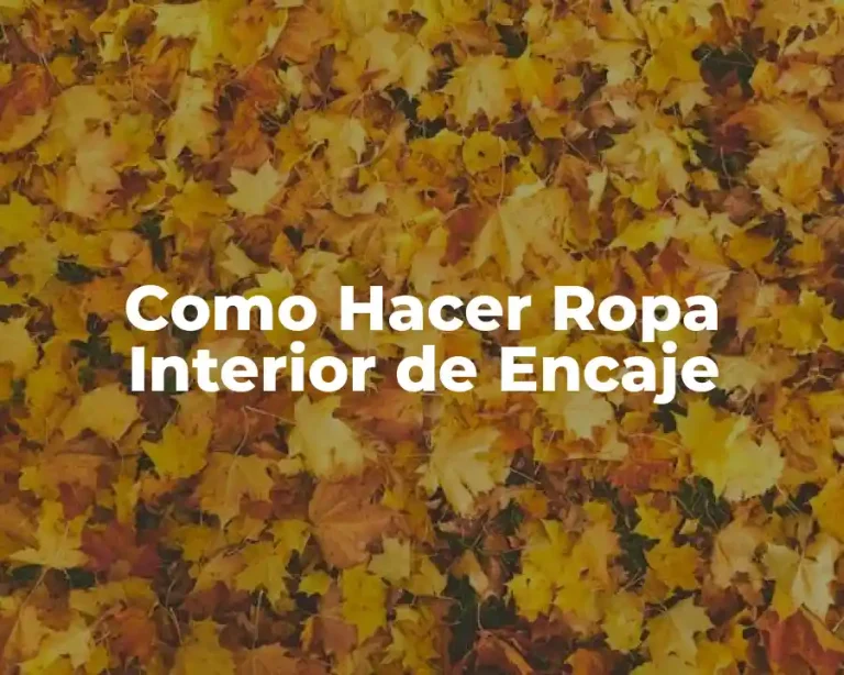 Como Hacer Ropa Interior de Encaje