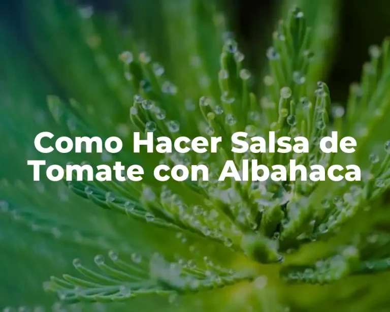 Como Hacer Salsa de Tomate con Albahaca