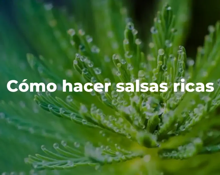 Cómo hacer salsas ricas