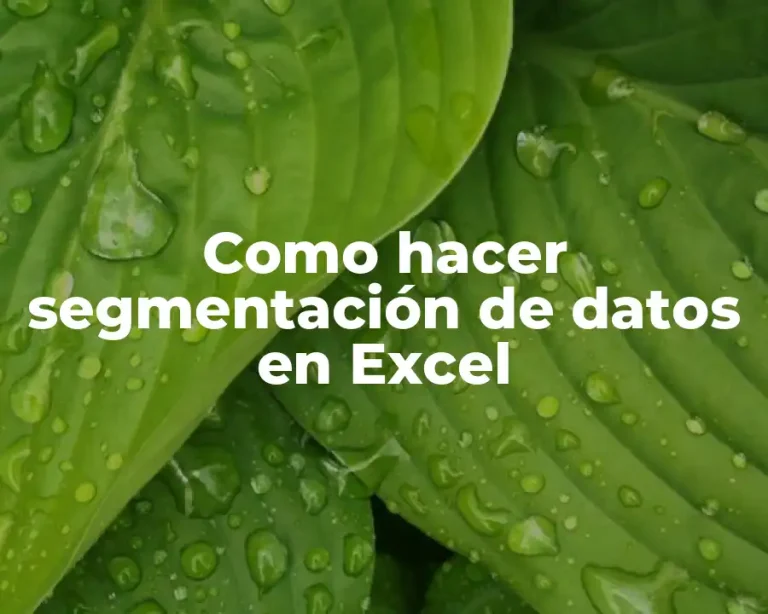 Como hacer segmentación de datos en Excel