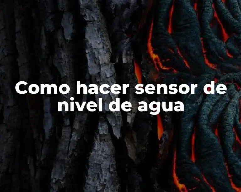 Como hacer sensor de nivel de agua