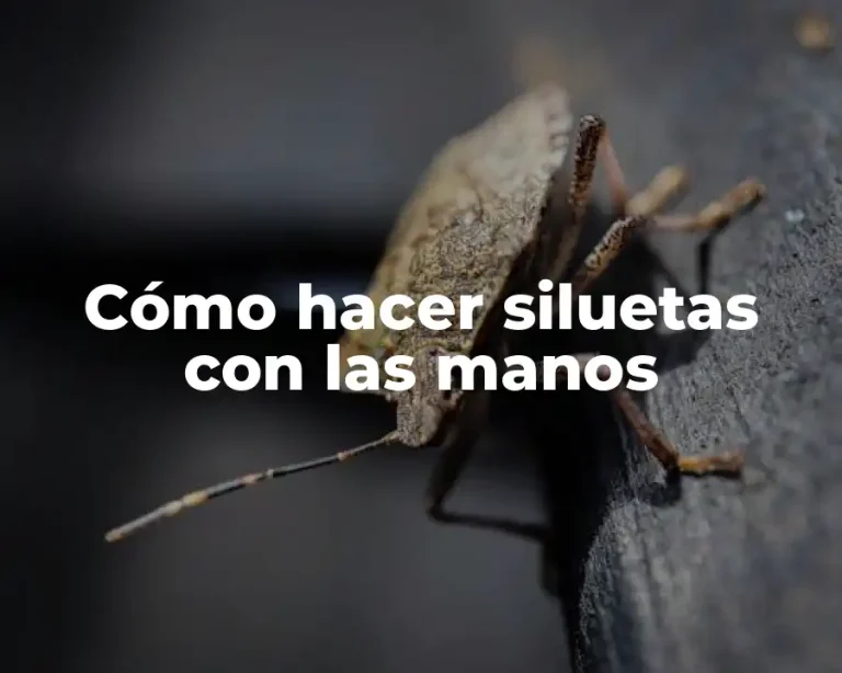 Cómo hacer siluetas con las manos