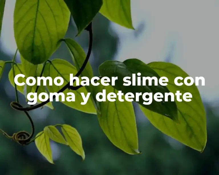 Como hacer slime con goma y detergente