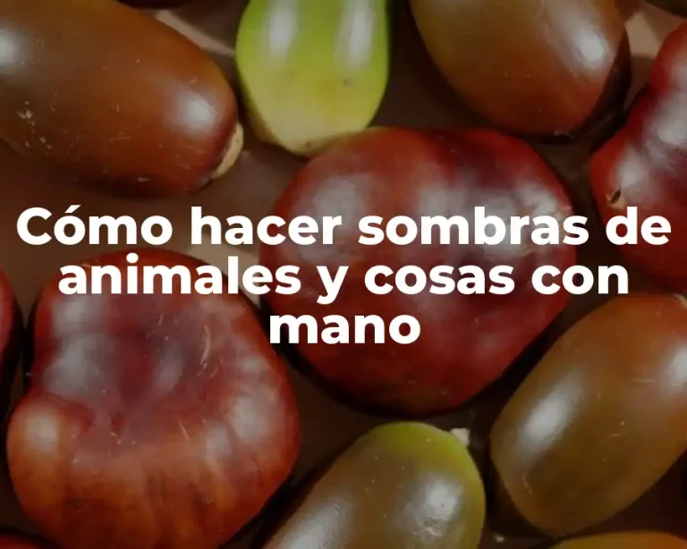 Cómo hacer sombras de animales y cosas con mano