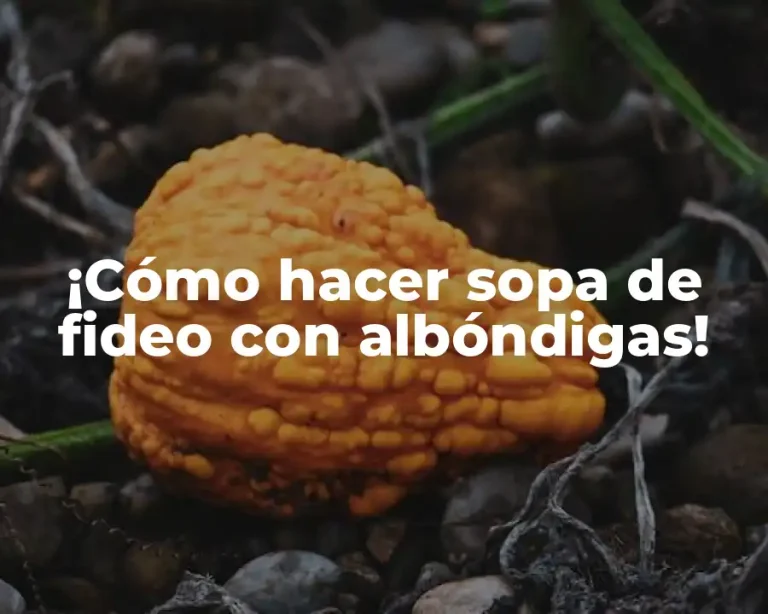 ¡Cómo hacer sopa de fideo con albóndigas!
