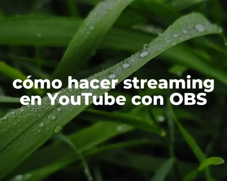 cómo hacer streaming en YouTube con OBS