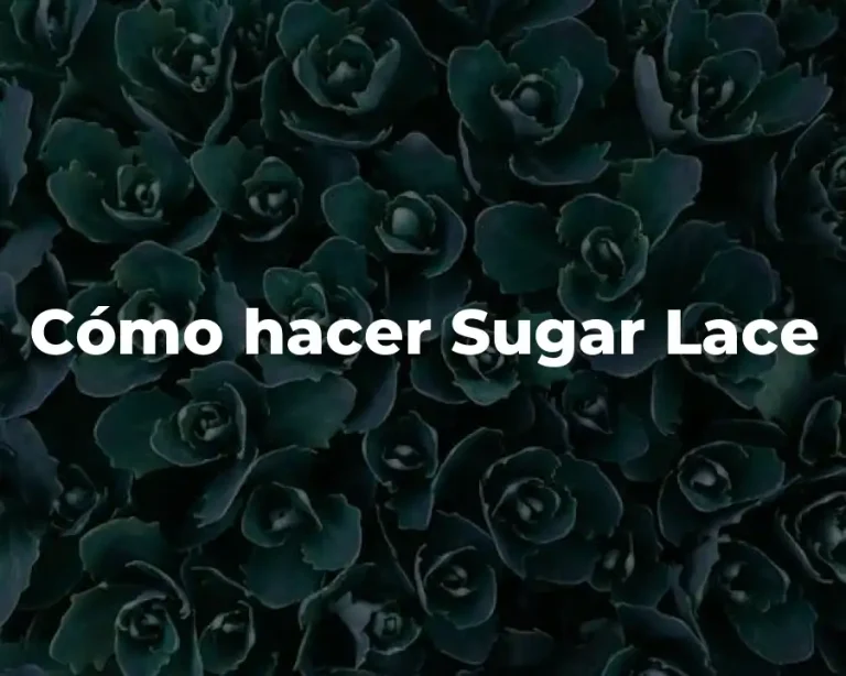 Cómo hacer Sugar Lace
