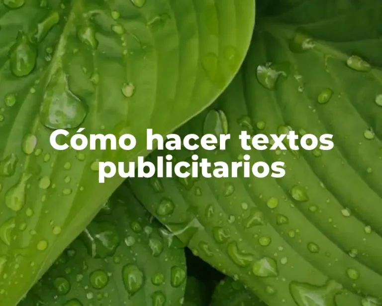 Cómo hacer textos publicitarios