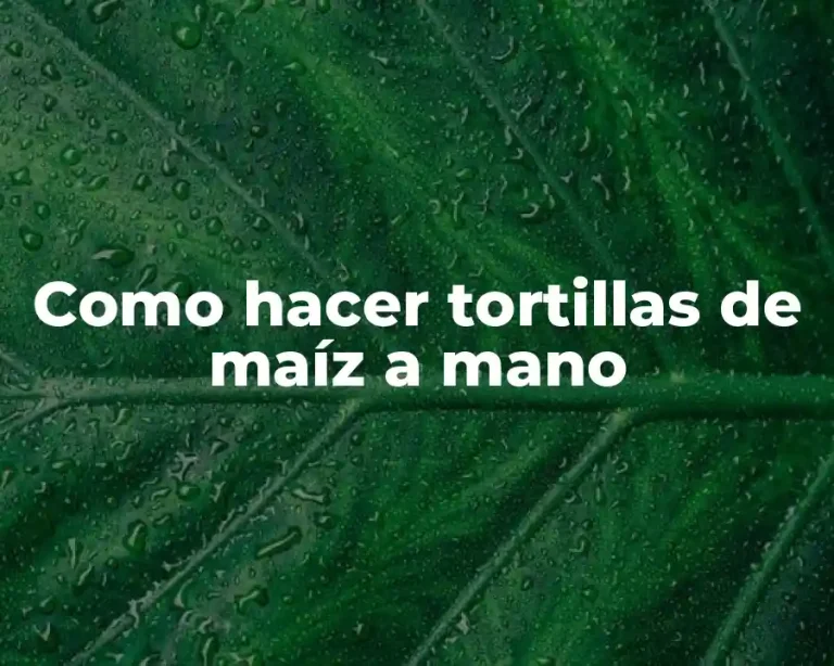 Como hacer tortillas de maíz a mano
