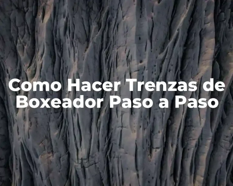 Como Hacer Trenzas de Boxeador Paso a Paso